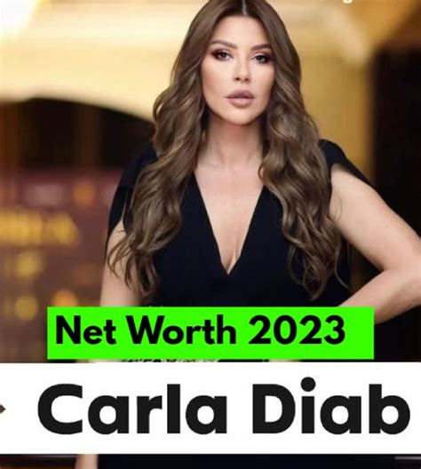 Carla Diab's Net Worth (Updated 2023) .